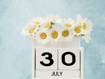 july 30 on planter with flowers